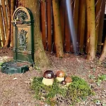 Chalet Dagmar